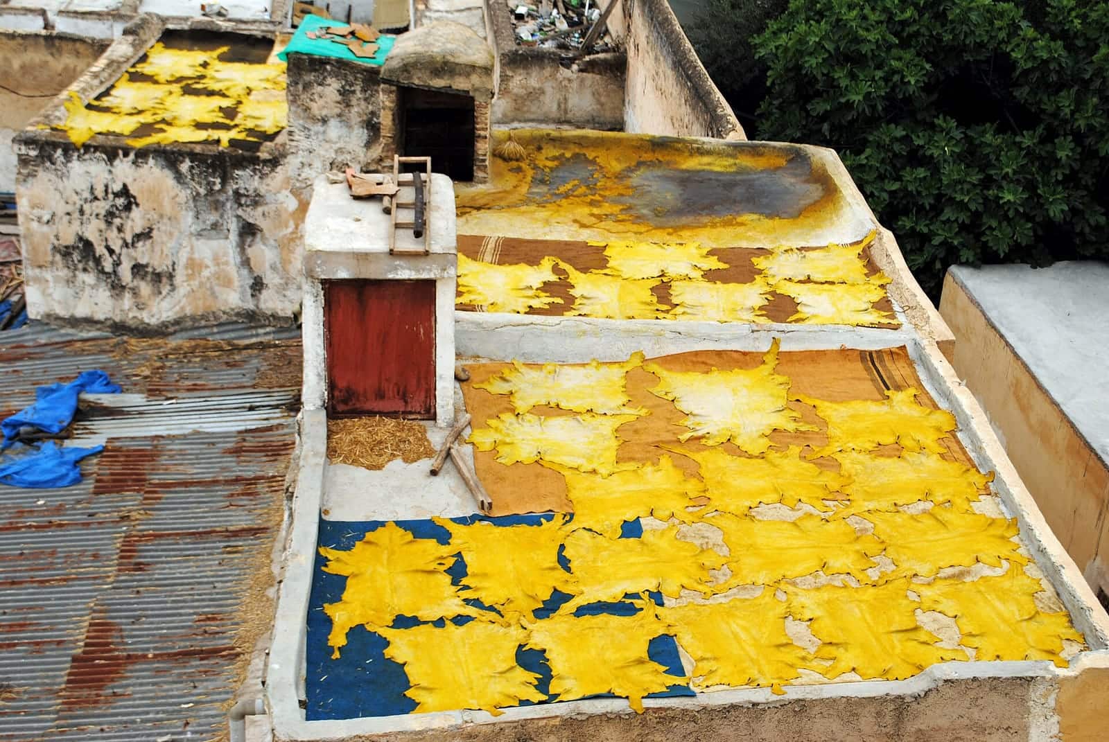 Dye pits of the Chouara tannery in Fes